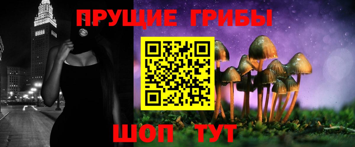 Галлюциногенные грибы Psilocybine cubensis Рассказово